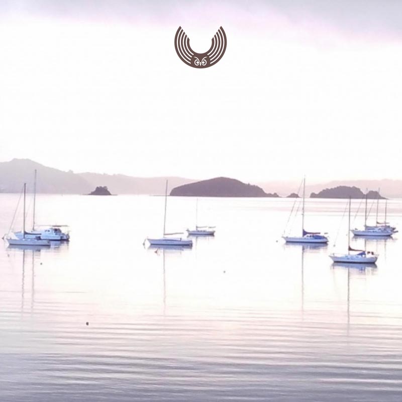 website design for a yoga retreat & massage center - Te Hine Ruru