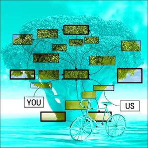 the process of web design