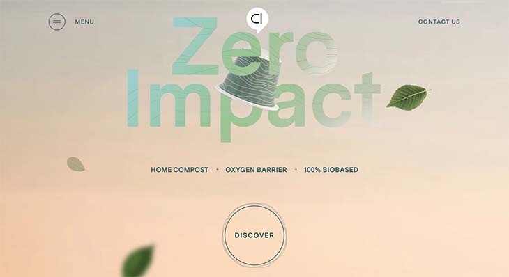 animation website design capsul